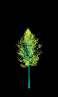 greenshift tree
