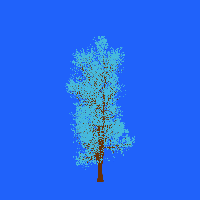 greenshift tree
