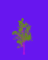 greenshift tree