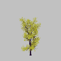 greenshift tree