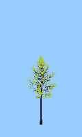 greenshift tree