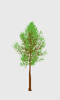 greenshift tree