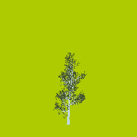 greenshift tree