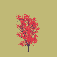 greenshift tree
