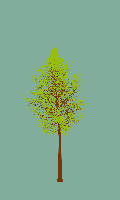 greenshift tree