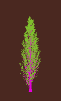 greenshift tree