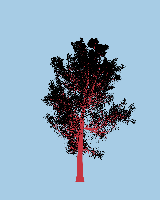greenshift tree