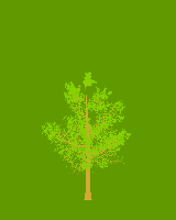 greenshift tree