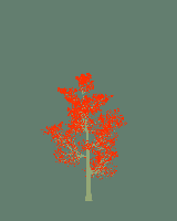 greenshift tree