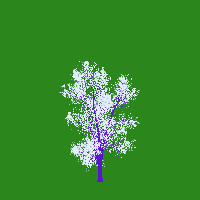 greenshift tree