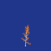 greenshift tree