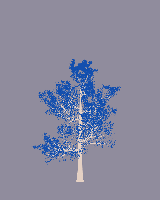greenshift tree