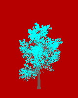 greenshift tree