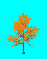 greenshift tree