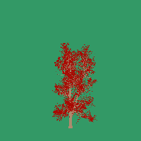 greenshift tree