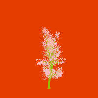 greenshift tree
