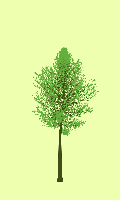 greenshift tree