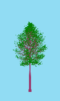greenshift tree
