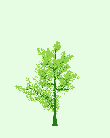 greenshift tree