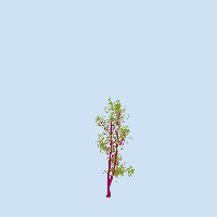 greenshift tree