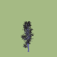 greenshift tree