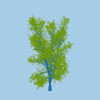 greenshift tree