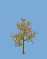 greenshift tree