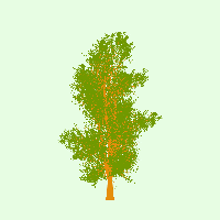greenshift tree