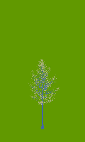 greenshift tree