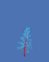 greenshift tree