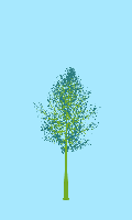 greenshift tree