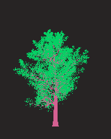 greenshift tree