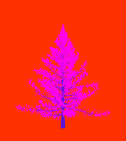 greenshift tree
