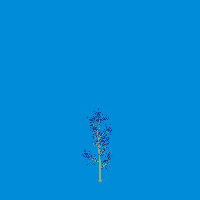 greenshift tree
