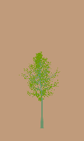greenshift tree