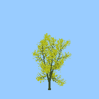 greenshift tree