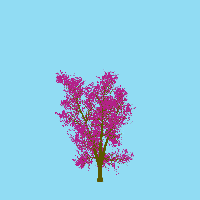 greenshift tree