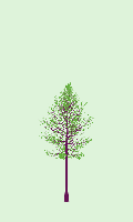 greenshift tree