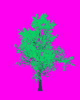 greenshift tree
