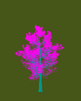 greenshift tree