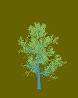 greenshift tree