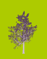 greenshift tree