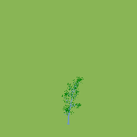 greenshift tree