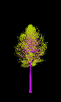 greenshift tree