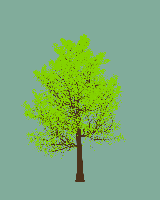 greenshift tree