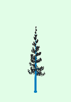 greenshift tree