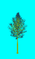 greenshift tree