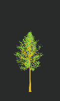 greenshift tree