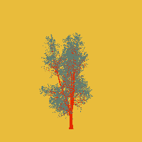 greenshift tree