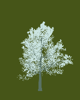 greenshift tree